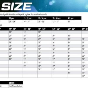 Rawlings| Big Stick Elite Wood Baseball Bat | Maple/Birch/Composite Options - Image 2